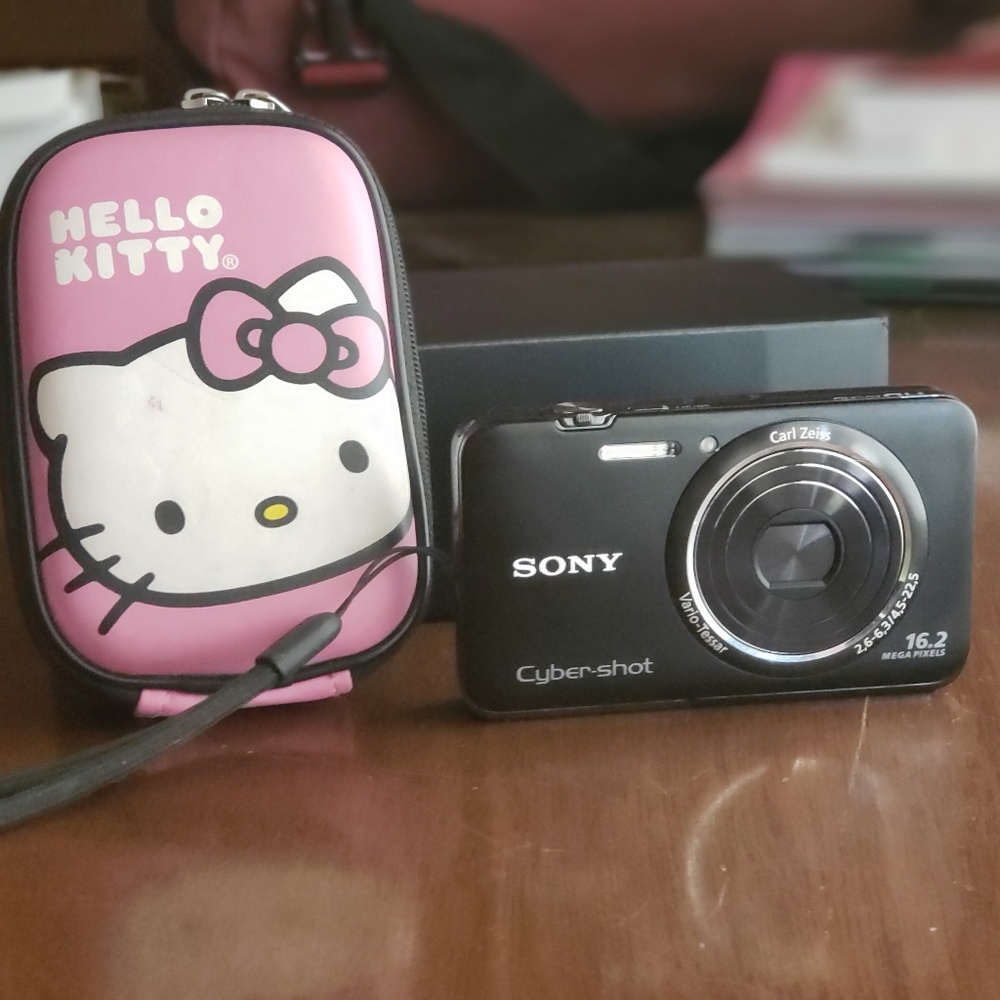 Sony Cyber Shot 16.2 Mega Pixels!